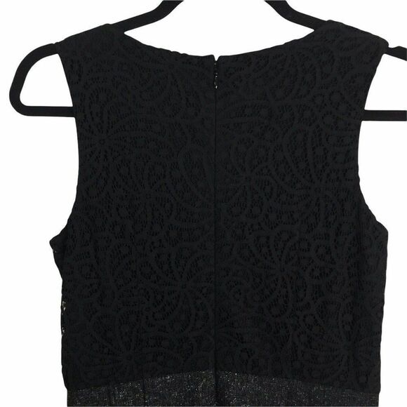Loft Womens Size 2 Dress Bodice Lace Overlay Pleated Skirt Scoop Neck Sleeveless - Picture 6 of 9